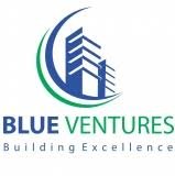 Blue Ventures Logo
